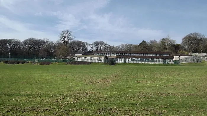 Successful appeal for places in St Brogan's Image