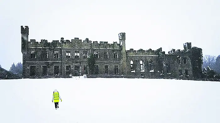 County Council is still out of pocket by almost €7m for post-storm clean-ups Image