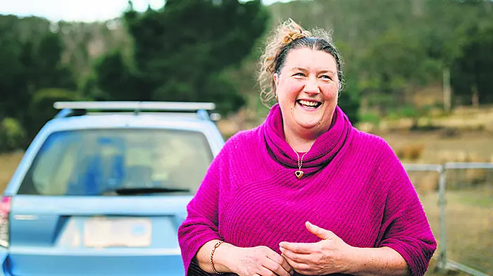 Minister Daly proposes ‘Uber-type' rural taxi service – a‘ruxi' Image