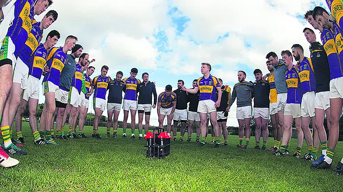 We're keeping our feet on the ground, insists captain Hayes Image