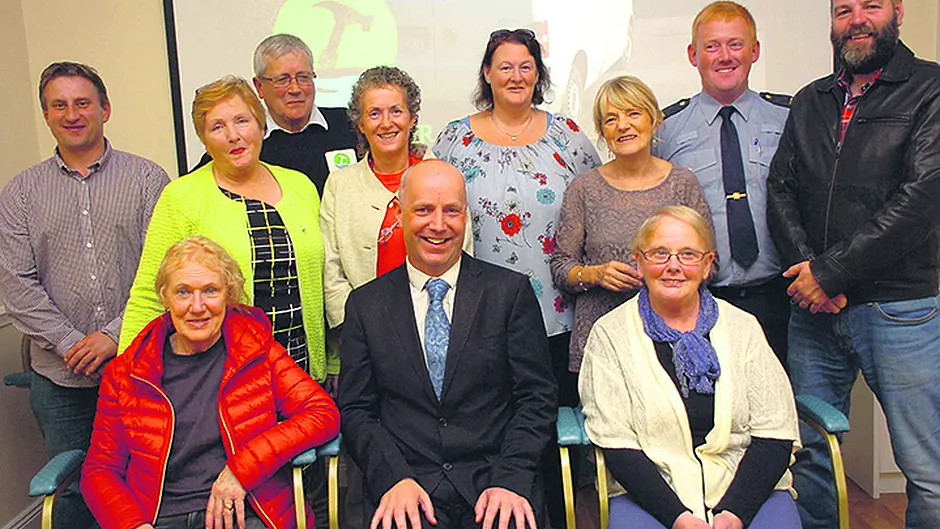 Schull volunteers nail new repair scheme Image