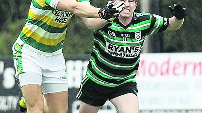Ross captain Brian Shanahan craves a different type of consistency Image