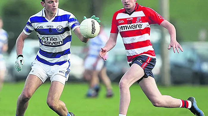 Castlehaven are keen to make their Mark again, insists captain Collins Image