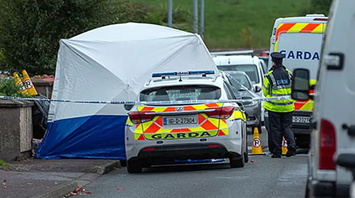Man dies of suspected stab wounds in Macroom - woman arrested Image