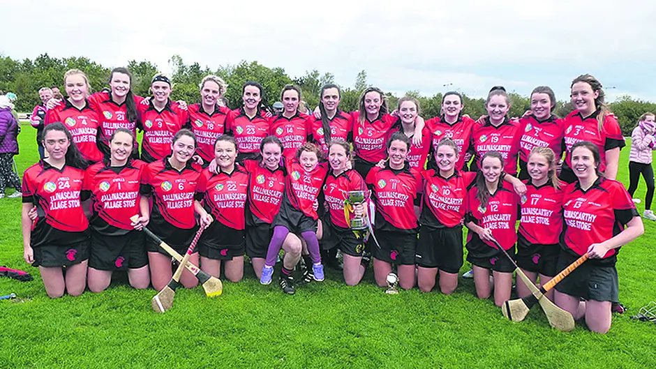 Brilliant Ballinascarthy crowned champs Image