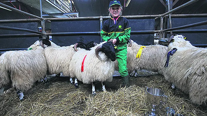 Success for Lucy and her little lambs Image