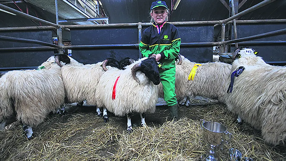 Success for Lucy and her little lambs Image