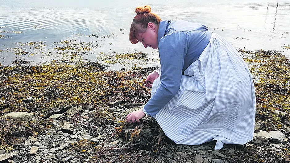 Exhibition on Ellen Hutchins for UCC Image