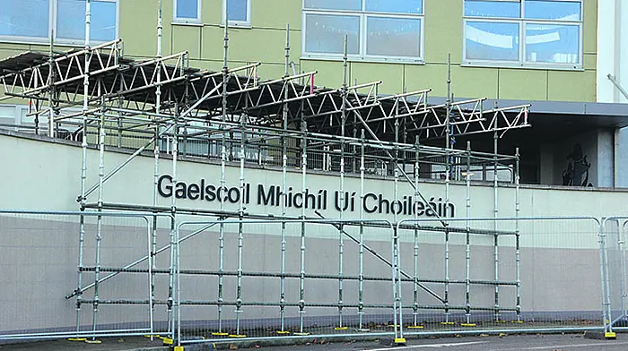 Safety fencing erected at three local primary schools Image