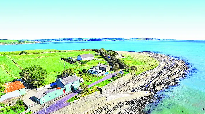 All eyes on Blind Strand with bidding war underway Image