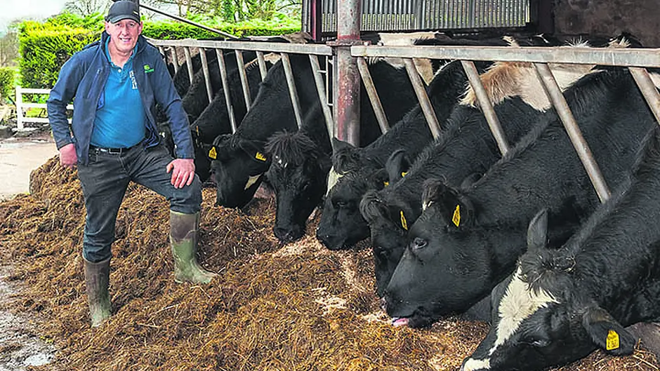 Mid Cork family wins Origin Green Farmer Award for Dairy Image