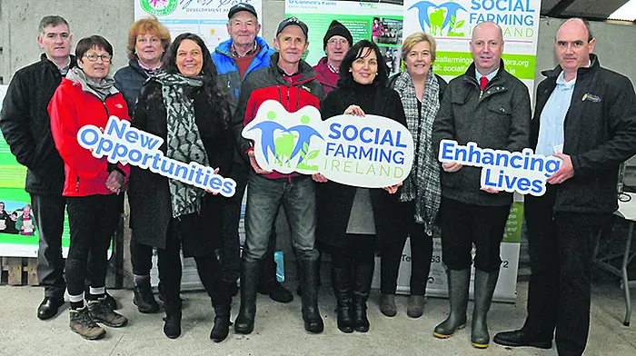 Commitment to funding for social farming initiatives Image