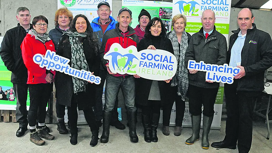 Commitment to funding for social farming initiatives Image