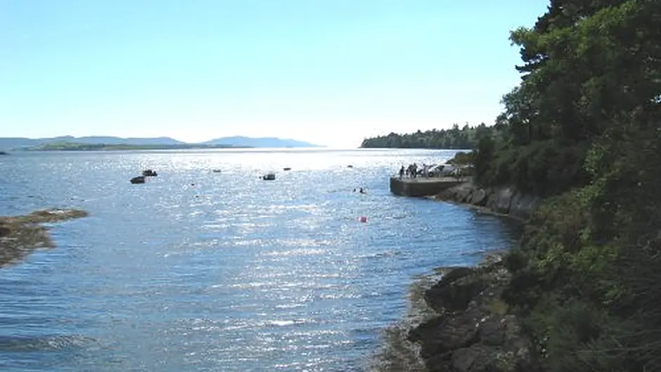Funding to improve piers and harbours Image