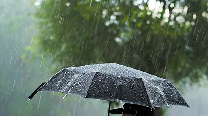 Yellow weather warning has Bantry on alert Image