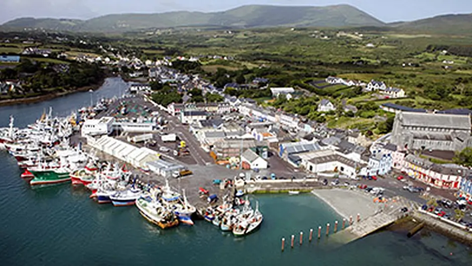 Fishermen's CEO welcomes mackerel size re-evaluation Image