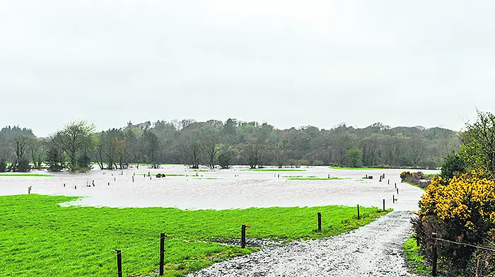 Flood defences pass first tough Skibbereen test Image