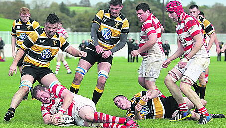Skibb's hosting of Munster junior game will be celebration of rugby Image