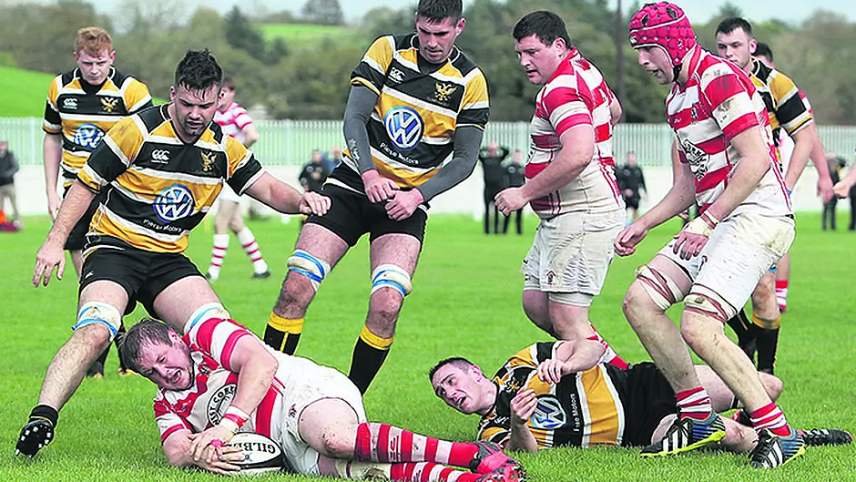 Skibb's hosting of Munster junior game will be celebration of rugby Image