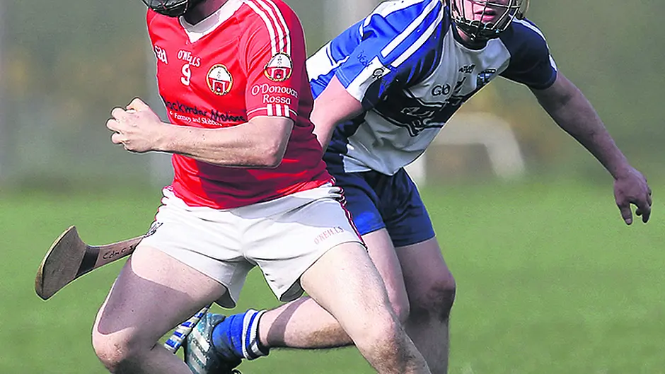 Breen is confident Skibb can build on potential Image