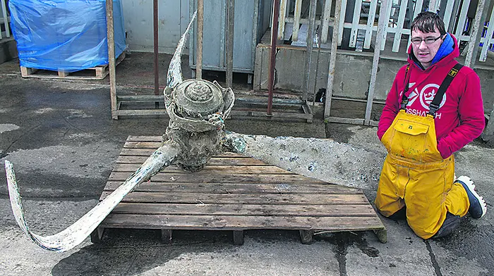Union Hall trawler lands an odd catch Image