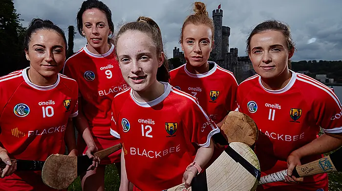 Murray feels that camogie will eventually adopt hurling rules Image