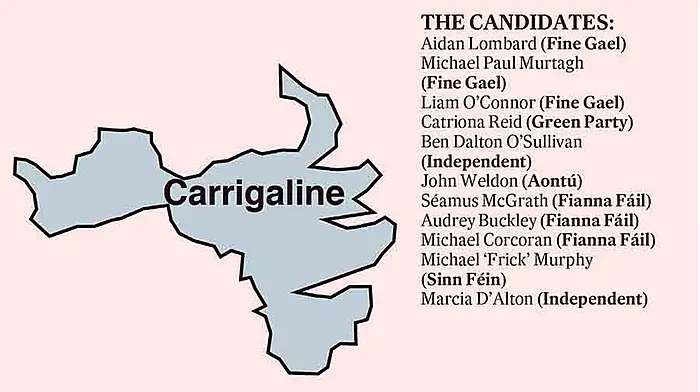 New Carrigaline area is tough one to call Image