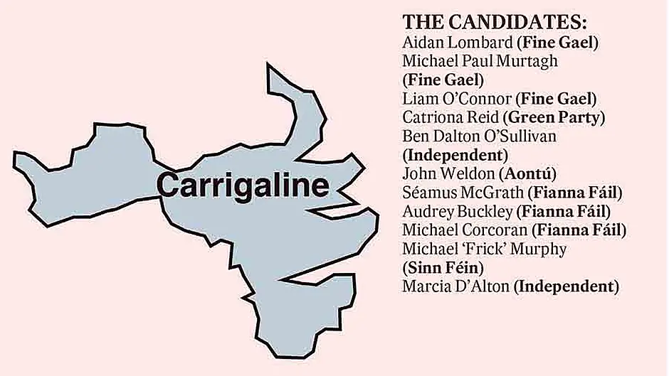 New Carrigaline area is tough one to call Image