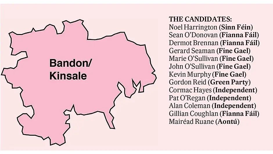 A lot of new faces chasing six seats after big changes to area's boundary Image