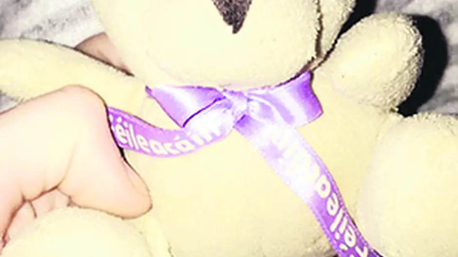 Heartbroken parents search for missing teddy Image
