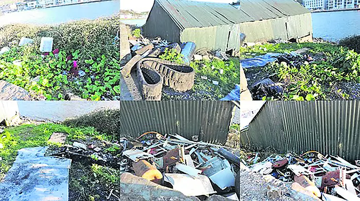 Bags of household rubbish dumped in Bandon ... and Bantry ... and Coolmain Image