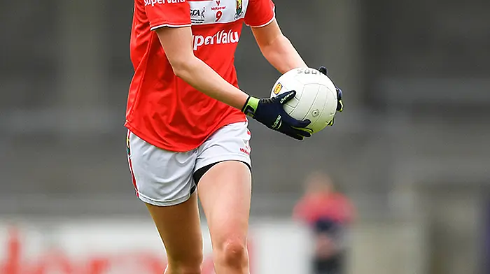 Cotter has been a ‘revelation', says Cork manager Image