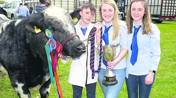 Bandon Show looks to build on success to secure future Image