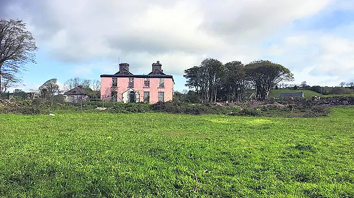 Council's 51 homes may be stalled by knotweed Image