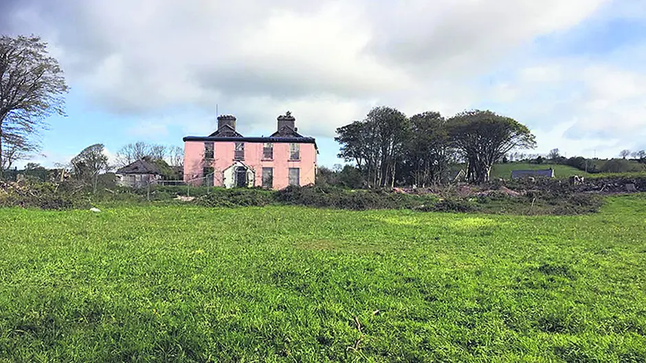 Council's 51 homes may be stalled by knotweed Image