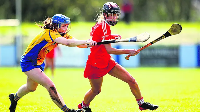 Newcestown young gun Ciara helping Carbery camogie become a real force Image