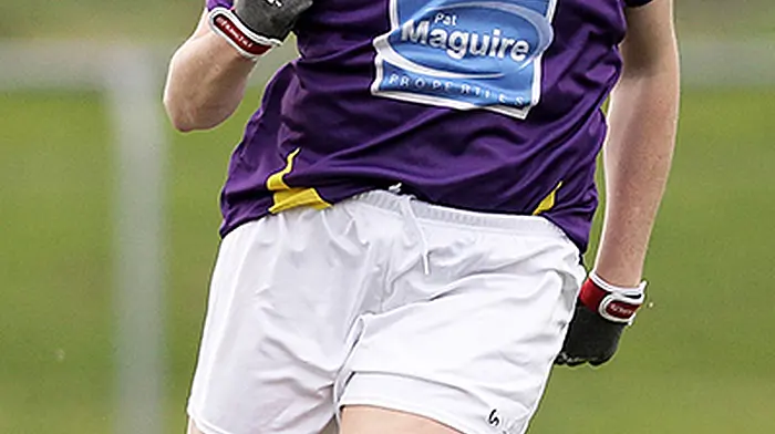 LAST WORD COLUMN: West Cork show template that other divisions can now follow Image