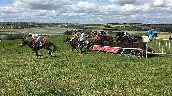 It's a whole new world at Clonakilty point to point Image