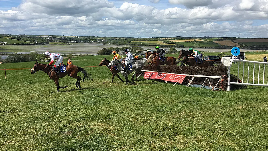 It's a whole new world at Clonakilty point to point Image