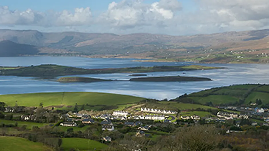 Bantry Bay kelp campaigners lose injunction case in High Court Image