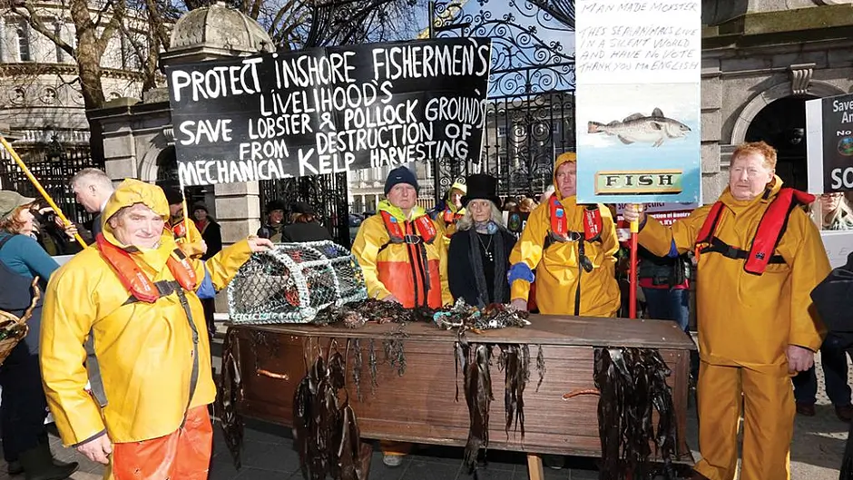 High Court rules in favour of Kerry firm in kelp harvest case Image