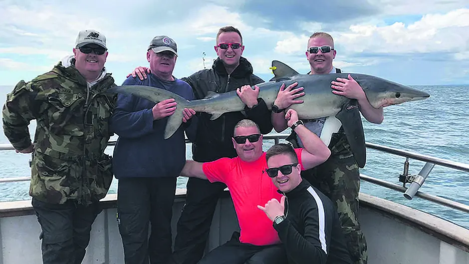 Season's second Blue Shark is landed by Dublin fire fighter Image