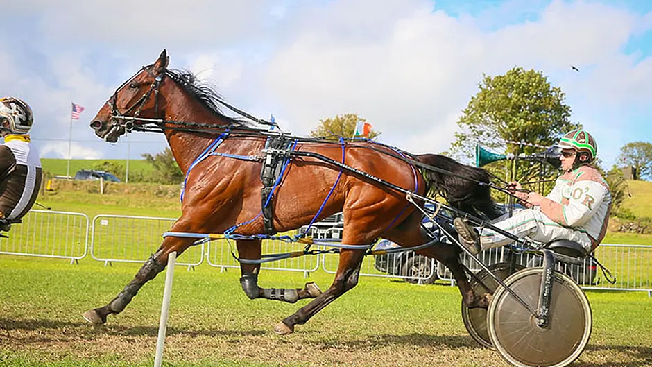 O'Reilly guides Rhyds Panache to glory in Red John Memorial Image
