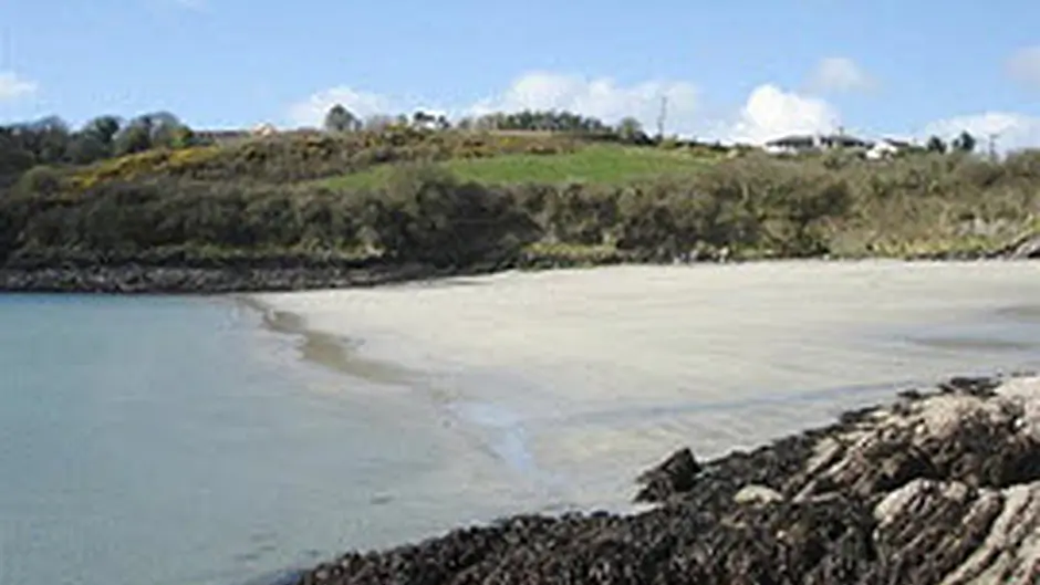 Dock Beach now cleared for swimming says Irish Water Image