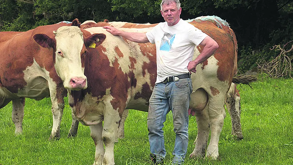 West Cork beef farmers angry they have been ‘sacrificed' in EU-Mercosur deal Image