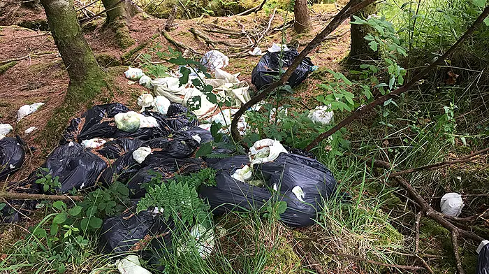 VIDEO: Nappies still dumped near N71 – four months later Image