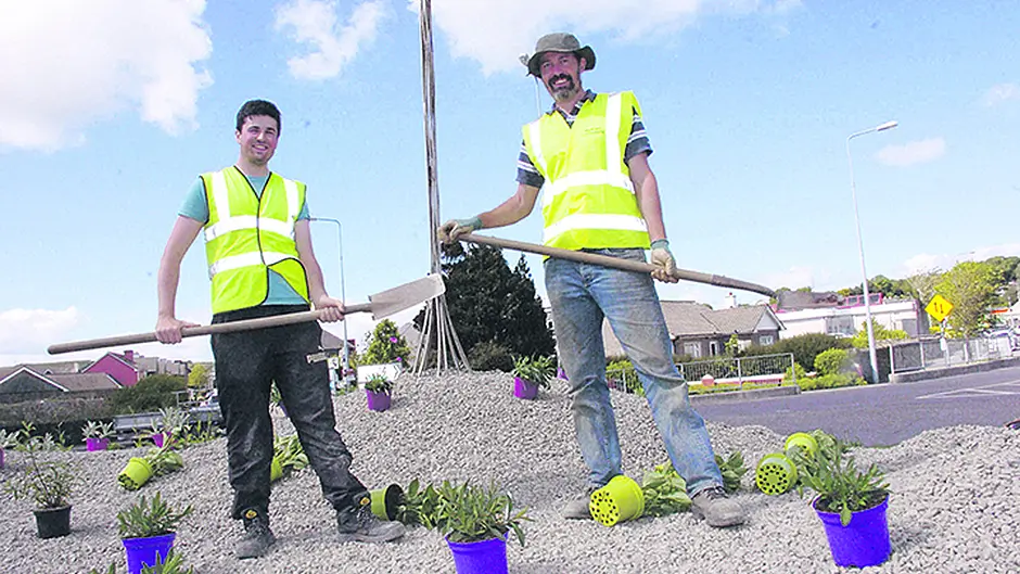 Big buzz at bee-friendly garden in Skibbereen Image