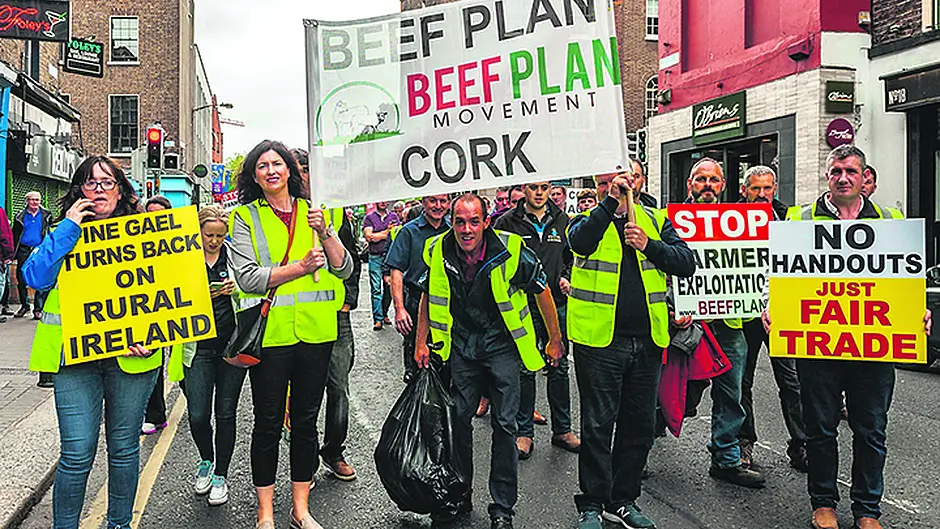 Councillor condemns ‘act of  treason against Irish farmers' Image