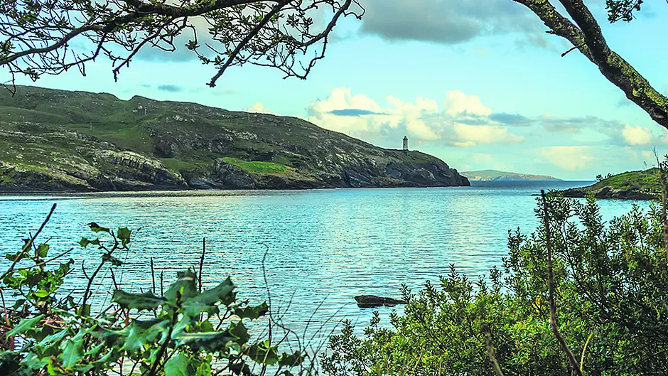 Gill netting will kill off Beara's  angling tourism, warns angler Image