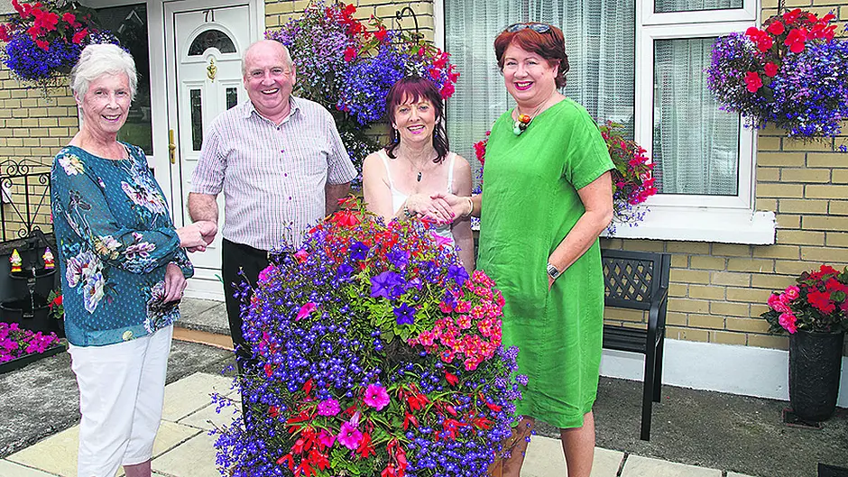 Window boxes and hanging baskets impress judge Image